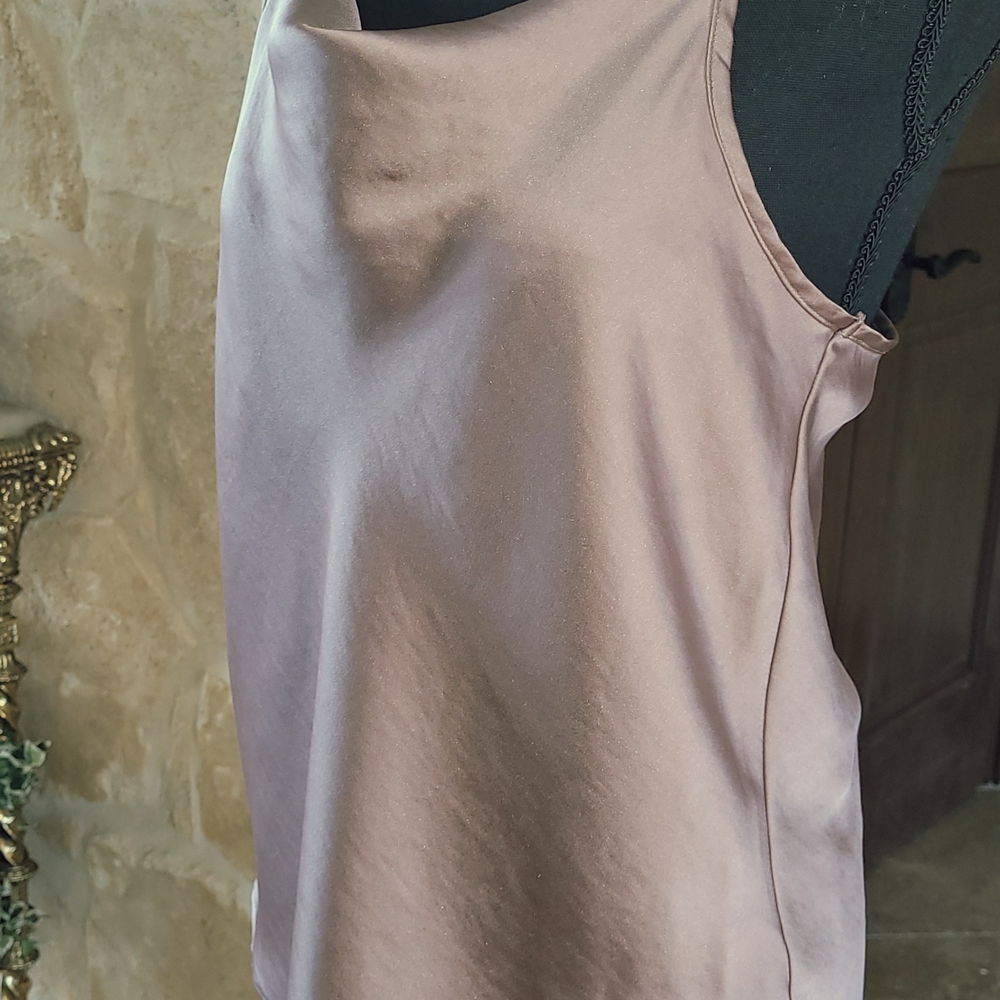 Pleione Shimmering Taupe Satin Top